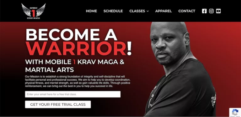 martial arts website